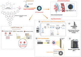 Graphical abstract: Enhancing breast cancer therapy: optimizing drug delivery using ruthenium polypyridyl II and Olaparib both individually and co-loaded with ZIF-8 nanoparticles