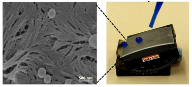 Graphical abstract: Self-cleaning, transparent, and anti-icing properties of polylactic acid films with stiffness-toughness balance via a stretching-nonsolvent-induced phase separation-liquid infusion process