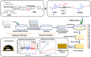 Graphical abstract: Preparation of a biomass-derived imine hardener, biobased epoxy thermoset and their coating on cellulose nanofiber film for high-performance and energy-harvesting applications