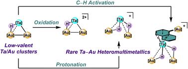 Graphical abstract: Low-valent tantalum/gold clusters: oxidation, protonation, and C–H activation