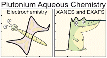 Graphical abstract: Insights for controlling plutonium behavior in hydrochloric acid solutions