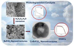 Graphical abstract: Toroidal ferroelectric cobalt-doped barium titanates as efficient energy conversion materials for solar cells and photocatalysis