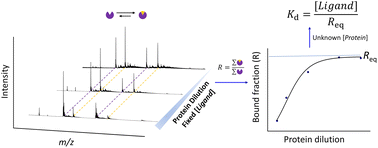 Graphical abstract: A straightforward method for measuring binding affinities of ligands to proteins of unknown concentration in biological tissues