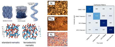 Graphical abstract: Distinguishing liquid crystalline nematic variants by machine learning