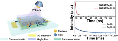 Graphical abstract: Engineered s-SWCNT network/a-Ga2O3 heterointerface for enhanced deep ultraviolet photodetection