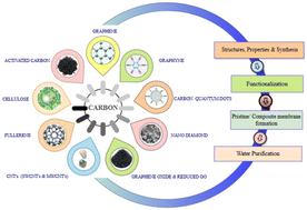Graphical abstract: Leveraging the ingenuity of carbon nanomaterials towards water quality amelioration