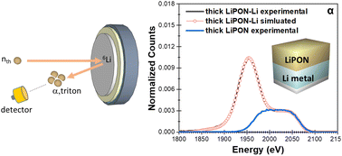 Graphical abstract: Measuring the buried interphase between solid electrolytes and lithium metal using neutrons