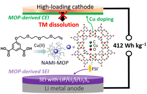 Graphical abstract: Stabilizing electrode–electrolyte interphases using soluble metal–organic polyhedra for high-performance lithium metal batteries