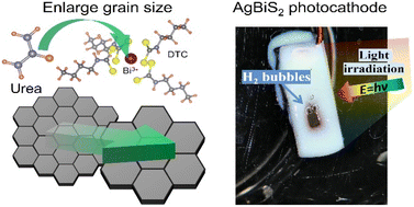 Graphical abstract: Simultaneous engineering of cation disorder and morphology of molecular-ink derived AgBiS2 photocathodes for solar water splitting