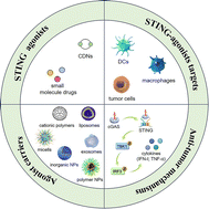 Graphical abstract: Nanocarrier-enabled STING agonist delivery for enhanced cancer immunotherapy