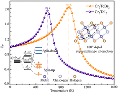 Graphical abstract: Realization of half-metallic intrinsic ferromagnetism with high Curie temperatures by the low oxidation state of chromium in Cr2TeX2 (X = Br, I) monolayers