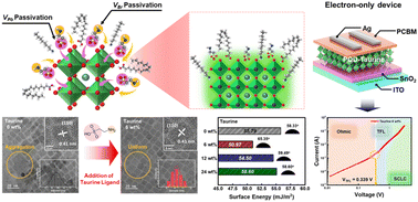 Graphical abstract: In situ dual-site passivation of all-inorganic perovskite quantum dots using zwitterionic taurine for enhanced defect resistance