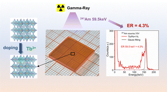 Graphical abstract: Tb-doped MA0.89FA0.11PbBr3 perovskite single crystals for gamma-ray detection