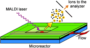 Graphical abstract: A MALDI-chip integrated system with a monitoring window