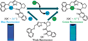 Graphical abstract: A differentially selective sensor with fluorescence turn-on response to Zn2+ and dual-mode ratiometric response to Al3+ in aqueous media