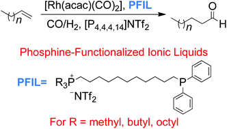 Graphical abstract: Rhodium complexes stabilized by phosphine-functionalized phosphonium ionic liquids used as higher alkene hydroformylation catalysts: influence of the phosphonium headgroup on catalytic activity
