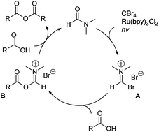 Graphical abstract: Synthesis of symmetric anhydrides using visible light-mediated photoredox catalysis