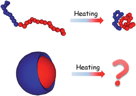 Graphical abstract: Thermoresponsive self-assembled polymer colloids in water