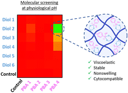 Graphical abstract: A new boronate ester-based crosslinking strategy allows the design of nonswelling and long-term stable dynamic covalent hydrogels