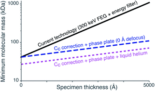 Graphical abstract: Cryomicroscopy in situ: what is the smallest molecule that can be directly identified without labels in a cell?