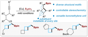 Graphical abstract: A general catalytic synthetic strategy for highly strained methylenecyclobutanes and spiromethylenecyclobutanes