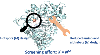 Graphical abstract: Rational enzyme design by reducing the number of hotspots and library size