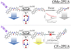 Graphical abstract: Fluorescence quenching of deprotonated phenylurea through twisting motion induced by an electron-donating substituent group