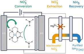 Graphical abstract: Engineering a molecular electrocatalytic system for energy-efficient ammonia production from wastewater nitrate