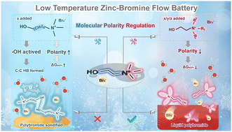 Graphical abstract: Molecular polarity regulation of polybromide complexes for high-performance low-temperature zinc–bromine flow batteries