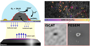 Graphical abstract: Seeing nanoscale electrocatalytic reactions at individual MoS2 particles under an optical microscope: probing sub-mM oxygen reduction reaction