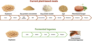 Graphical abstract: Insights from traditional fermented legumes towards the innovation of modern plant-based meat analogues