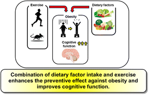 Graphical abstract: Preventive effects against cognitive decline and obesity via the combination of dietary factors and exercise: can dietary factors replace or complement the beneficial effects of exercise?