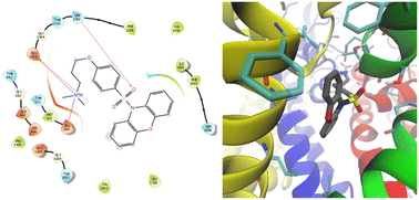 Graphical abstract: N-Sulfonylphenoxazines as neuronal calcium ion channel blockers