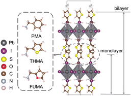 Graphical abstract: Theoretical insights into spacer molecule design to tune stability, dielectric, and exciton properties in 2D perovskites
