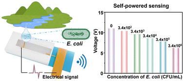 Graphical abstract: Triboelectric charge-separable probes for potential single-droplet biochemical sensing
