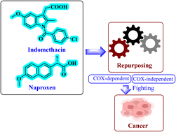 Graphical abstract: Repurposing of Indomethacin and Naproxen as anticancer agents: progress from 2017 to present