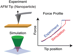 Graphical abstract: Nanoparticle adhesion at liquid interfaces