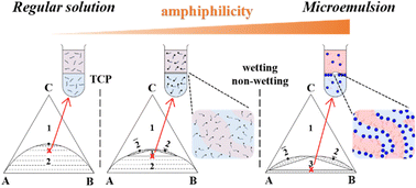 Graphical abstract: From regular solutions to microemulsions