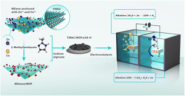 Graphical abstract: Synergistically self-assembled in situ growth of MXene@MOF derived sodium alginate hydrogel 3D frameworks as next-generation electrocatalysts for oxygen and hydrogen evolution