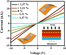 Graphical abstract: Harnessing self-powered and photoresponsive biomechanical activity sensors by exploring the piezo-phototronic effect in lead-free layered halide perovskite/PVDF composites