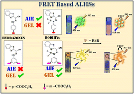 Graphical abstract: Artificial light harvesting gel based on saponification-triggered gelation of aggregation-induced emissive BODIHYs