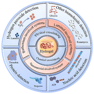 Graphical abstract: Hydrogel-assisted chemiluminescence and electrochemiluminescence systems for bioanalytical applications