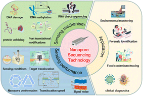 Graphical abstract: Empowering protein single-molecule sequencing: nanopore technology toward sensing gene sequences