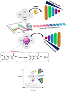 Graphical abstract: Colorimetric detection of l-Dopa via anti-etching of Au nanorods catalyzed by an MIL-88A (Fe)-TMB system