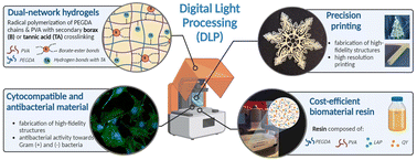 Graphical abstract: Borax - and tannic acid-based post-3D-printing treatment to tune the mechanical properties of scaffolds