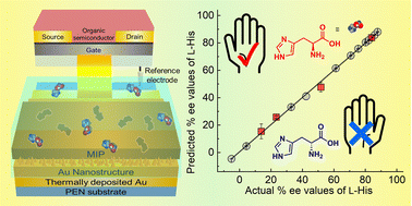 Graphical abstract: Accurate determination of enantiomeric excess of an amino acid using an extended-gate-type organic transistor