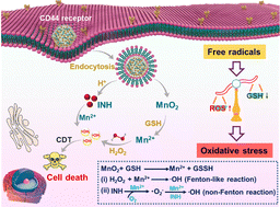 Graphical abstract: Synergistic isoniazid-Mn(ii) mediated non-Fenton-type hydroxyl radical generation for amplifying tumor chemodynamic therapy