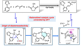 Graphical abstract: Unconventional diastereoselectivity and mechanism of Cp*Co(iii)-catalyzed C–H functionalization of asymmetric dienes: a DFT perspective