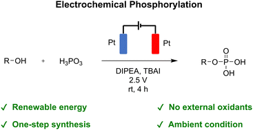 Graphical abstract: Direct and affordable alcohol phosphorylation through ambient electrochemical oxidation of phosphorous acid