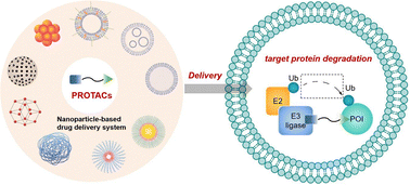 Graphical abstract: Programmable PROTAC delivery for precise and spatiotemporal protein degradation